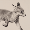 Fox Trot drawing